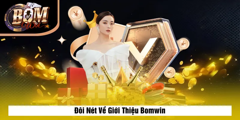 Giới Thiệu Bomwin 1 Đôi Nét Về Giới Thiệu Bomwin